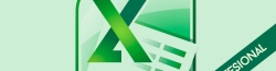 Microsoft Excel 2010 Profesional